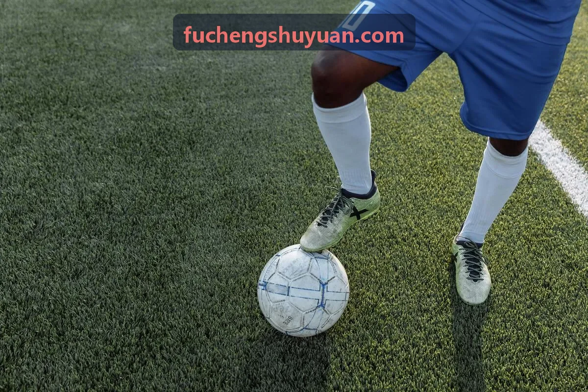 国产操逼视频经典国产片库